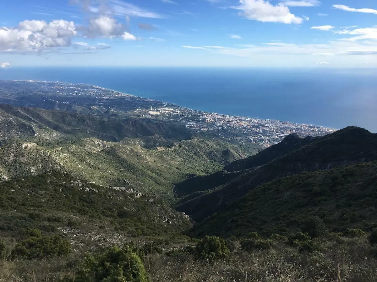 Yellow Jasper - Gemstone Getaway Marbella